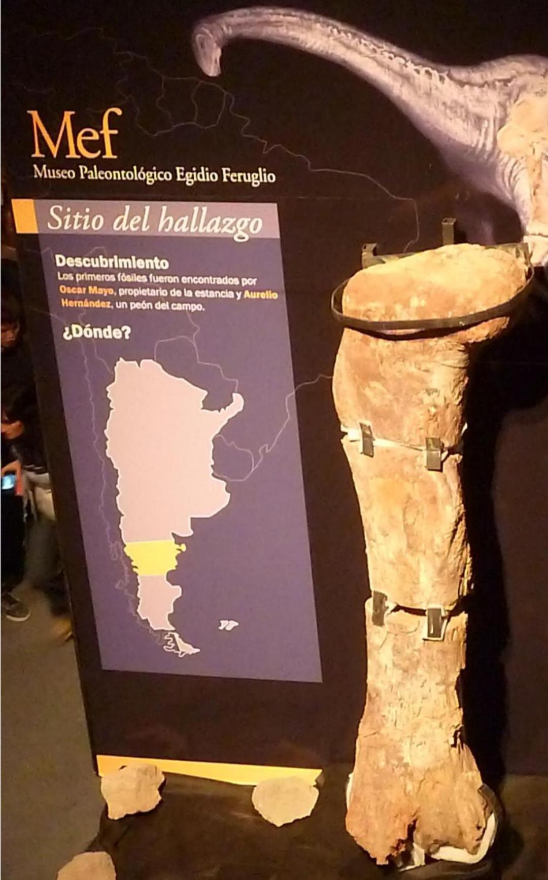 Departamentos Ensuenos Διαμέρισμα Trelew Εξωτερικό φωτογραφία